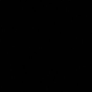 Meet your Posher, Raquel